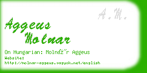 aggeus molnar business card